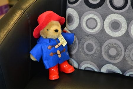 paddington bear voice activated recorder