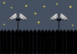 Night Spy Cameras