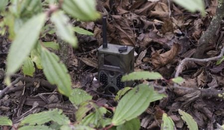 Field Spy Camera (GSM version)