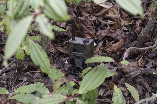 Outdoor Field Wireless Cam