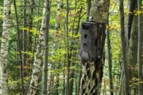 HD Field Spy - Outdoor/Game Camera thumbnail