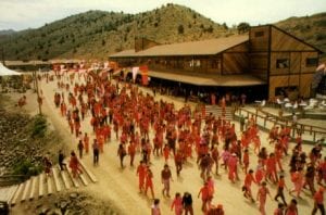 rajneesh movement