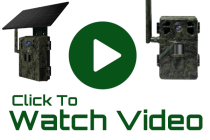 4G Outdoor Camouflage Camera thumbnail