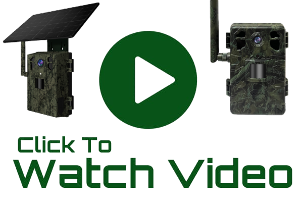 4G Outdoor Camouflage Camera Video