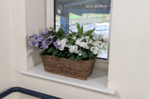 Decorative Plant Spy Camera thumbnail