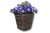Decorative Plant Spy Camera