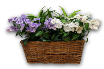 Decorative Plant Spy Camera