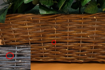 Decorative Plant Spy Camera thumbnail