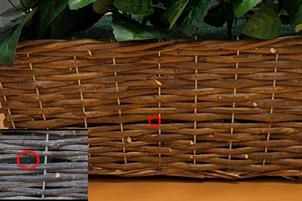 Decorative Plant Spy Camera