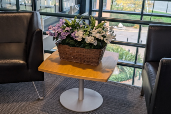 Decorative Plant Spy Camera