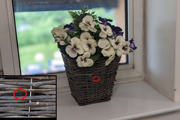 Decorative Plant Spy Camera