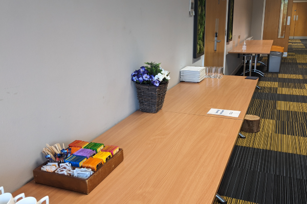 Decorative Plant Spy Camera